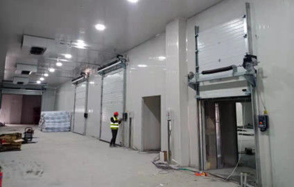 comprar Puerta de garaje seccional de acero galvanizado RAL9006 de color Bajo mantenimiento online manufacture